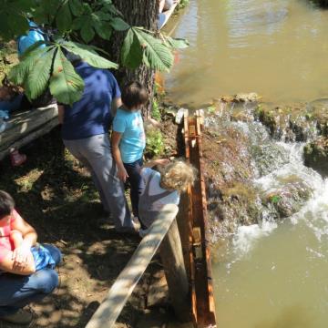 Mlinarjeva pot 14.09.2013 45